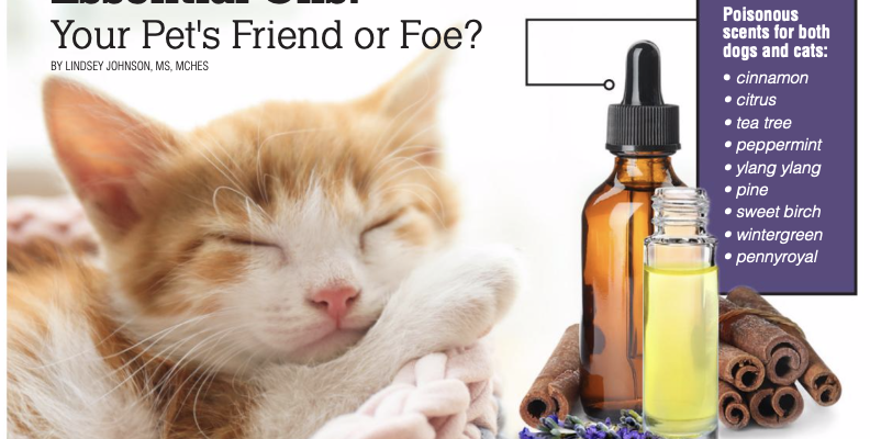 Essential Oils: Your Pet’s Friend or Foe?
